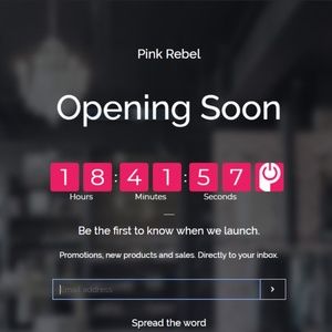 Store will be up soon www.pnkrebel.com